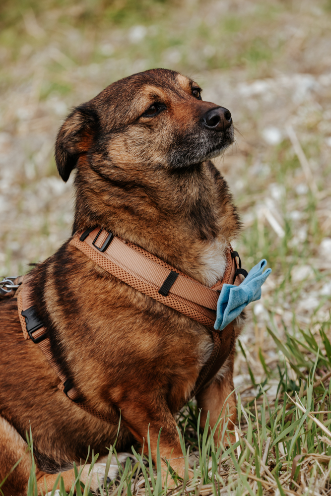 Hochzeitsreportage von Anna & Dominik – ein Tag voller Nähe, Leichtigkeit und echter Verbundenheit 65 Jessica Ganser Fotografie hochzeit aachen nrw hochzeitspaar wedding hochzeitsshooting hochzeitstag hochzeitsfotografie 52