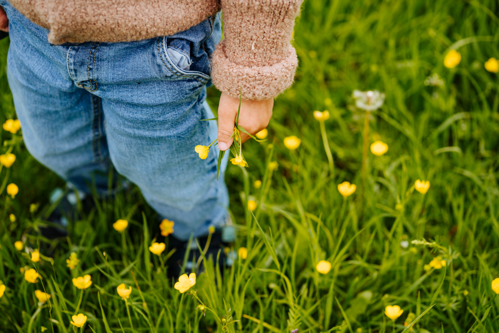 Blumen in Kinderhand