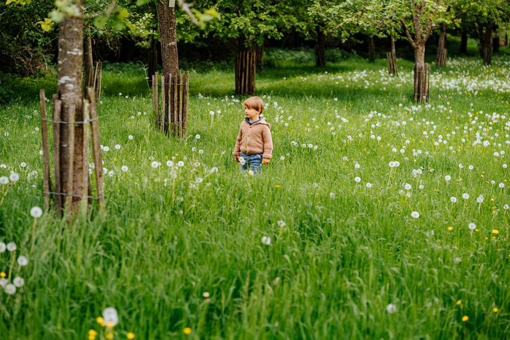 Junge steht auf Blumenwiese