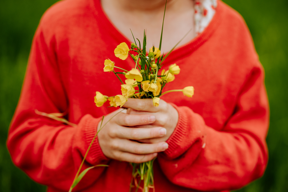 kleiner Blumenstrauß in Kinderhänden